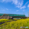 菜の花列車３