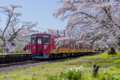 桜列車１３