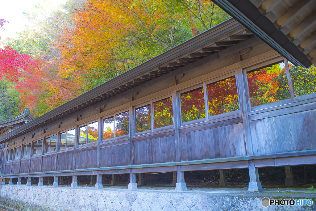 2025年 呑山観音寺の紅葉 1