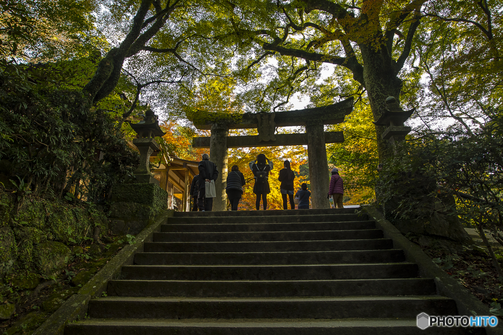 仁比神社の紅葉２