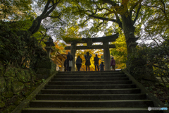 仁比神社の紅葉２