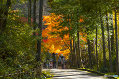 2025年 呑山観音寺の紅葉 4