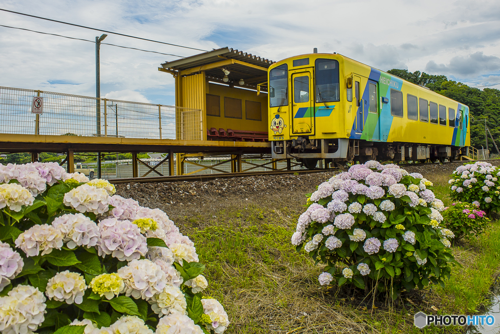 2025年 平成筑豊鉄道 紫陽花列車 １