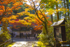 2025年 呑山観音寺の紅葉 2