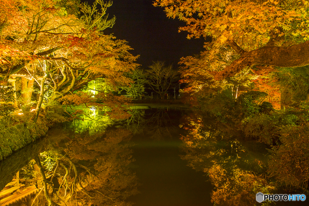 宝生寺 紅葉ライトアップ　１