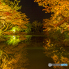 宝生寺 紅葉ライトアップ　１