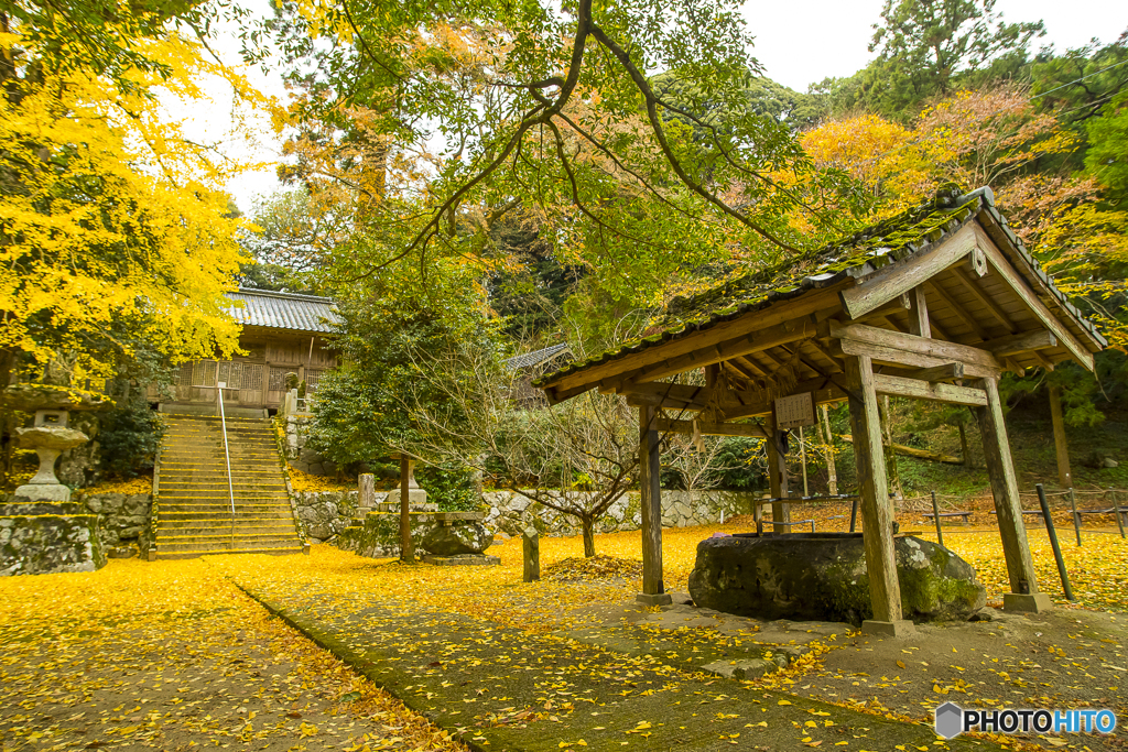 黄金色の雷神社１