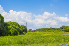 晩夏の甘木鉄道 ４