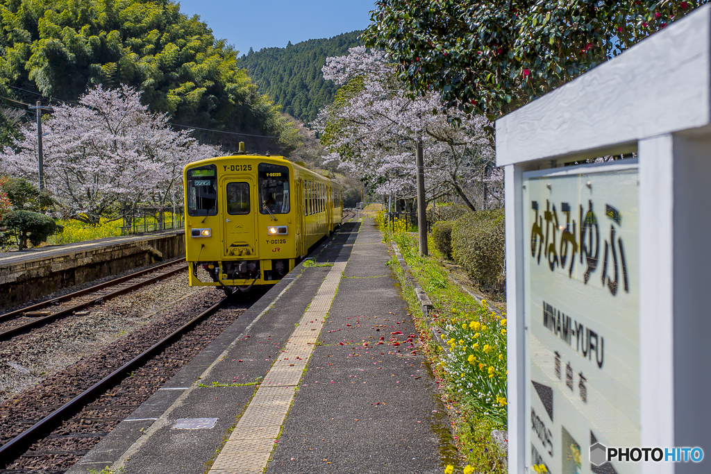 桜列車８