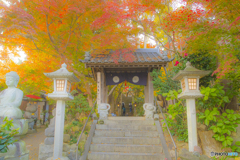 2025年 如意輪寺の紅葉 1