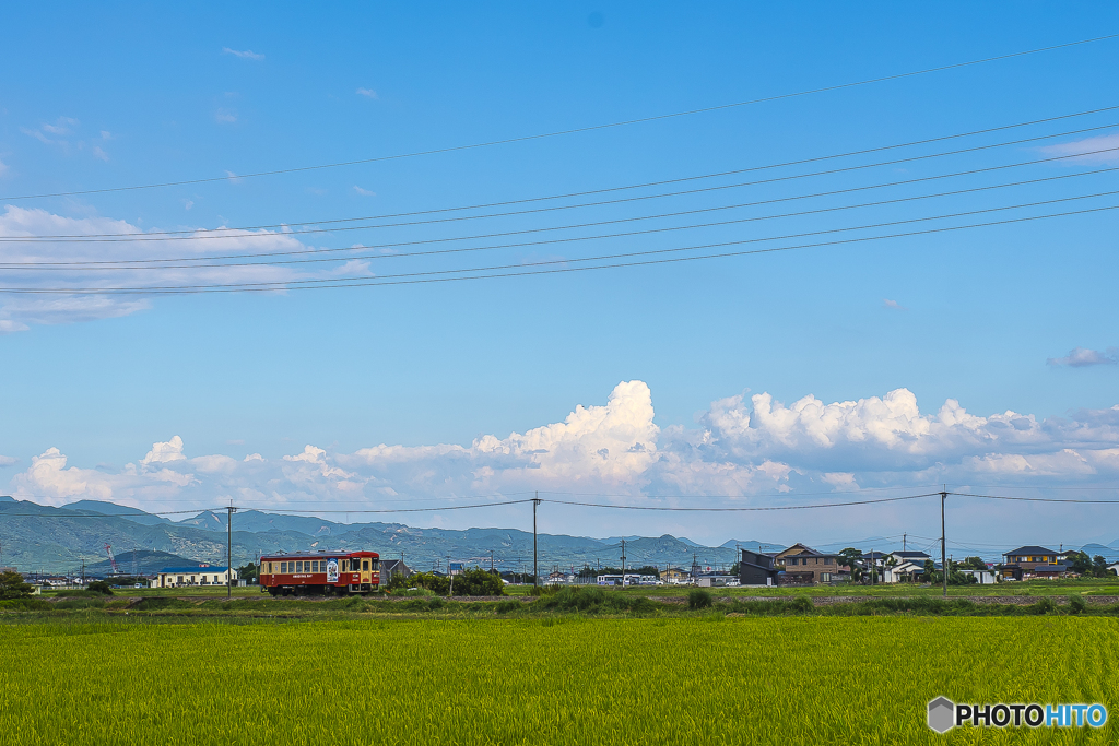 真夏の甘木鉄道 ２