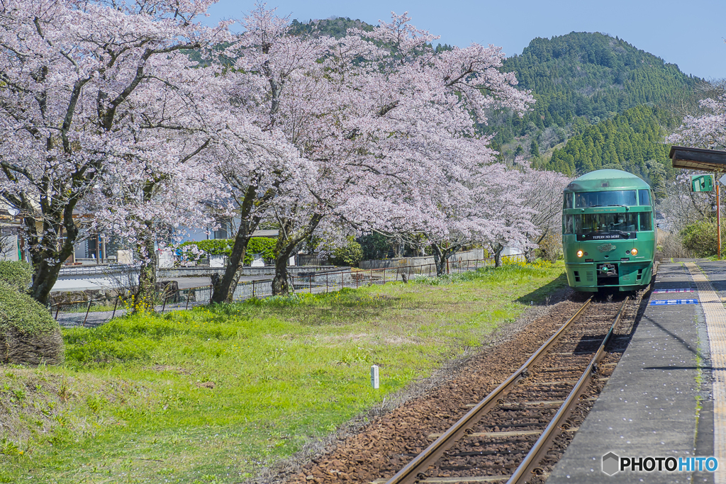 桜列車１４