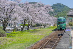 桜列車１４