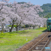 桜列車１４