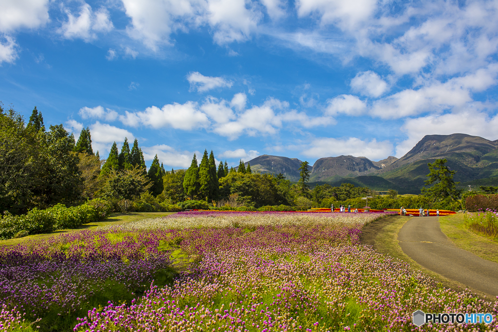 Kuju Flower Park３