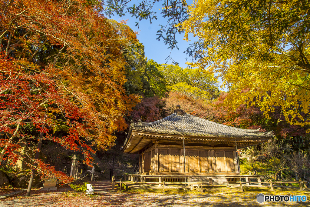 国宝 富貴寺の紅葉３