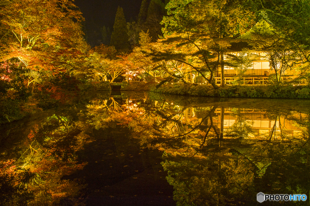 宝生寺の紅葉ライトアアプ　６