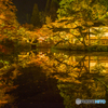 宝生寺の紅葉ライトアアプ　６