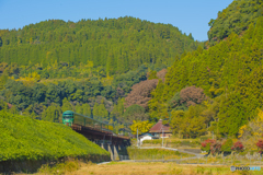 2025年  紅葉の九大線 6