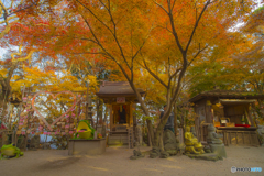 2025年 如意輪寺の紅葉 3