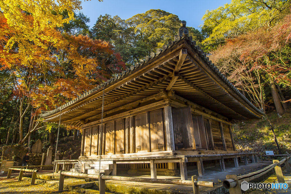 国宝 富貴寺の紅葉２