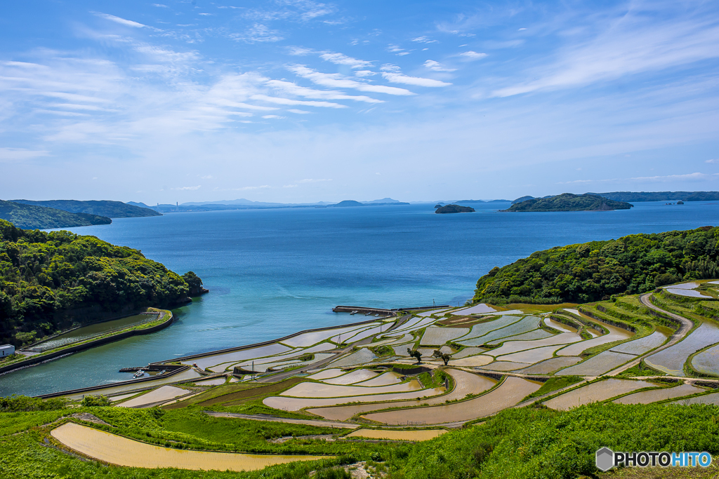 土谷棚田 昼景