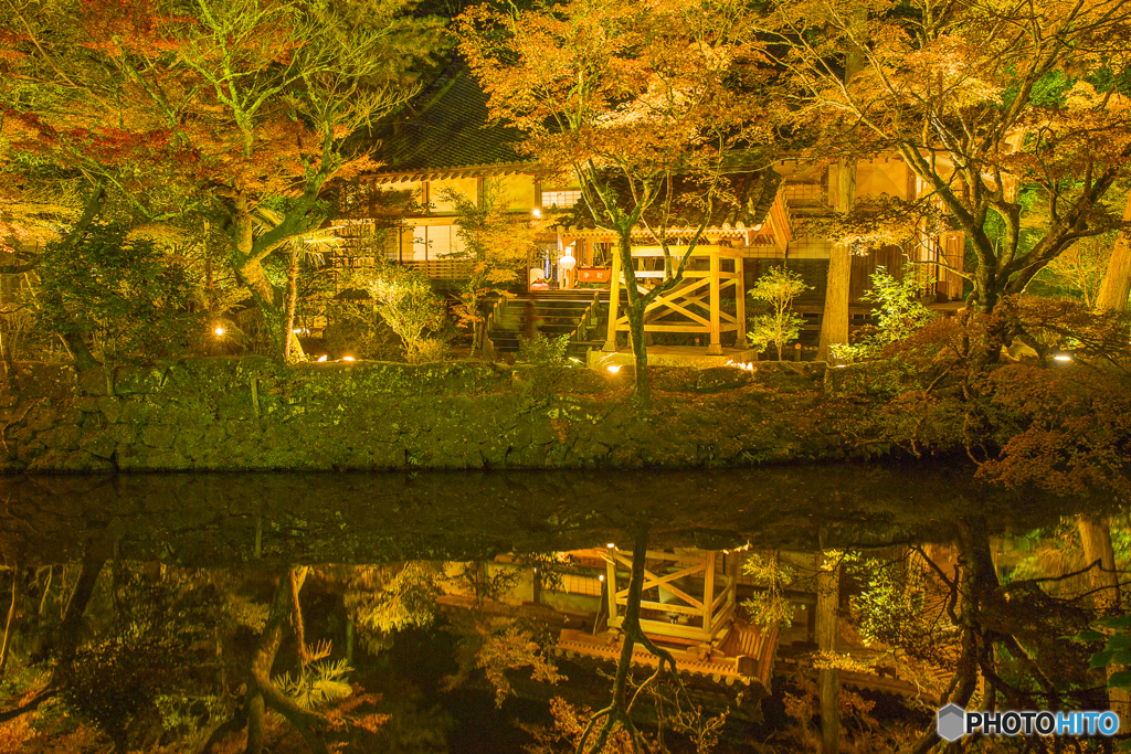 宝生寺 紅葉ライトアップ　３