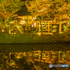 宝生寺 紅葉ライトアップ　３