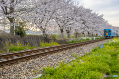 2025年 甘木鉄道 ９