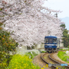 桜列車２１