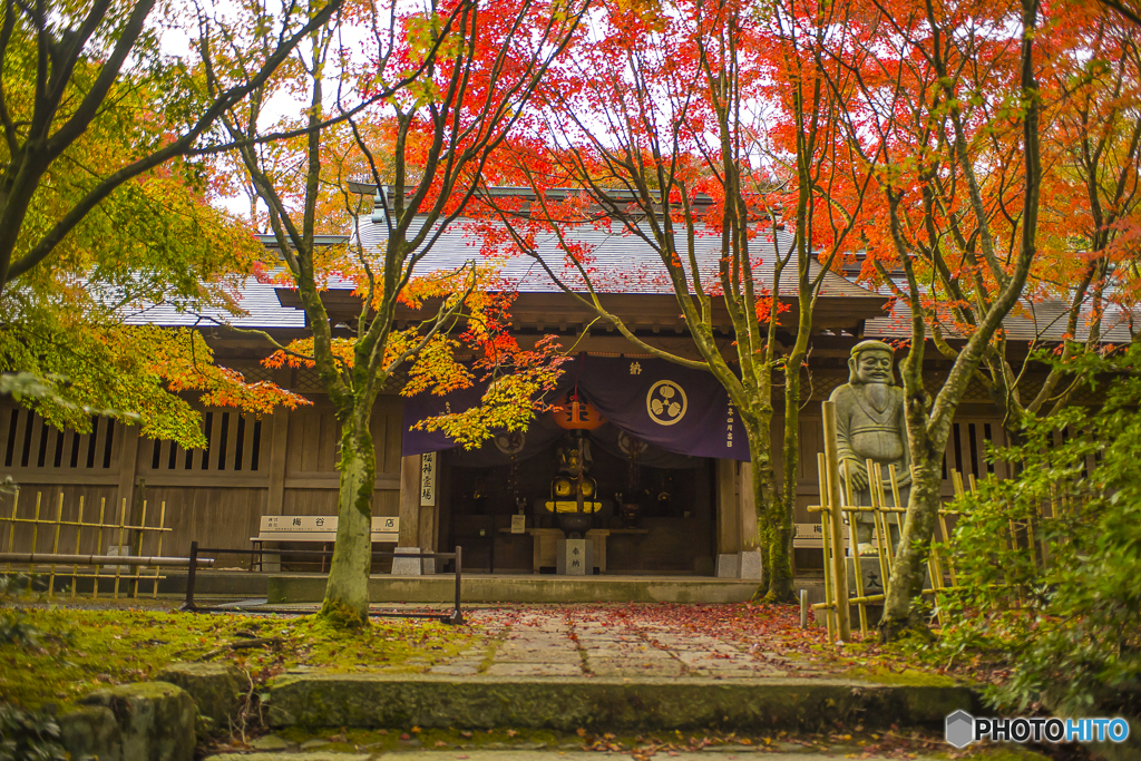 呑山観音寺の紅葉 ５