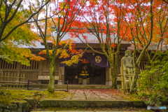 呑山観音寺の紅葉 ５