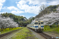 2025年 桜列車（JR日田彦山線）３