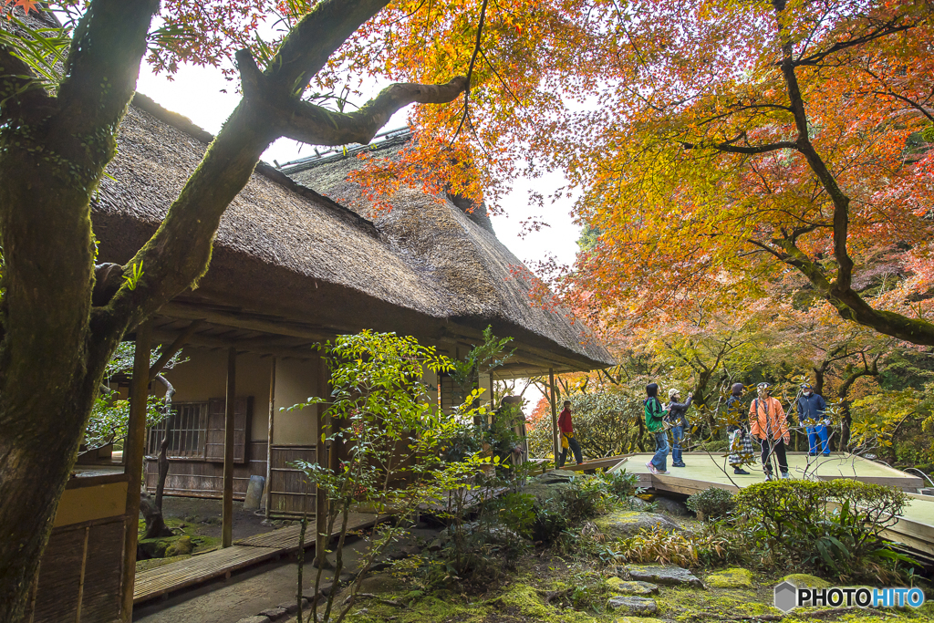 九年庵の紅葉３