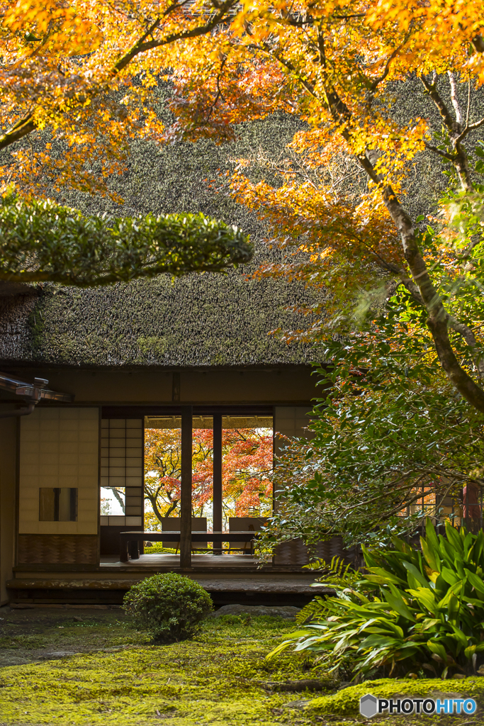 九年庵の紅葉４