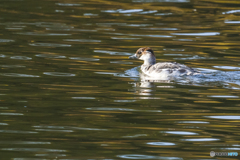 2025年　今年最後の投稿です 1