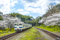 2025年 桜列車（JR日田彦山線）６