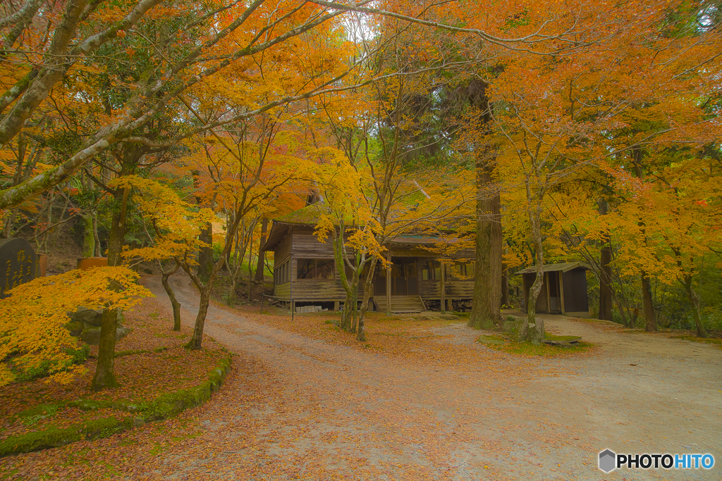 2025年 仁比山神社の紅葉 4