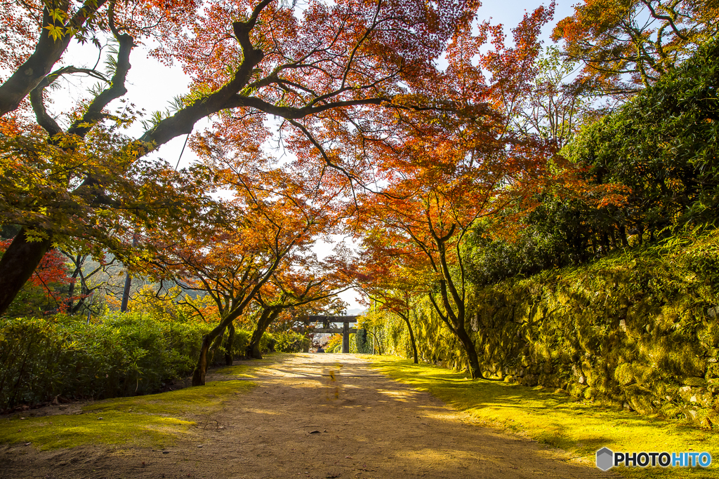 仁比神社の紅葉１