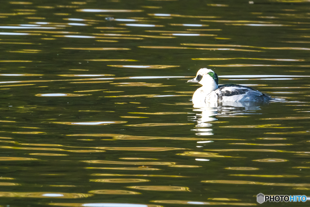 2025年　今年最後の投稿です 2