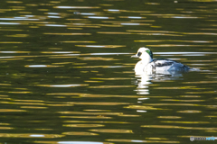 2025年　今年最後の投稿です 2