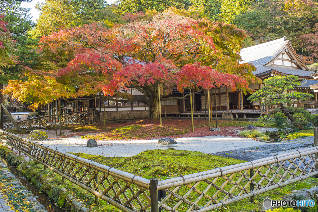 雷山千如寺大悲王院の紅葉 ２