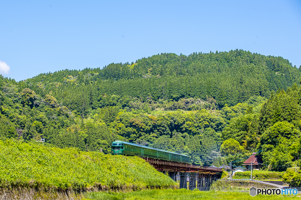 新緑の九大本線 １０