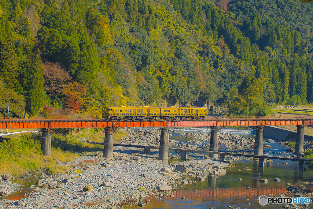 2025年 紅葉の九大線 8