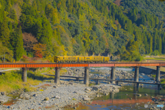 2025年 紅葉の九大線 8