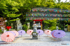 2025年 三井寺の風鈴 ４