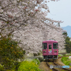 桜列車２２