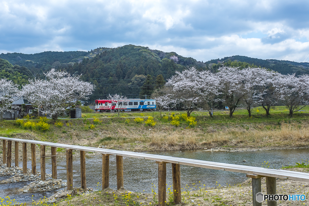 2025年 桜列車（平成筑豊鉄道）７