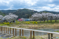 2025年 桜列車（平成筑豊鉄道）７