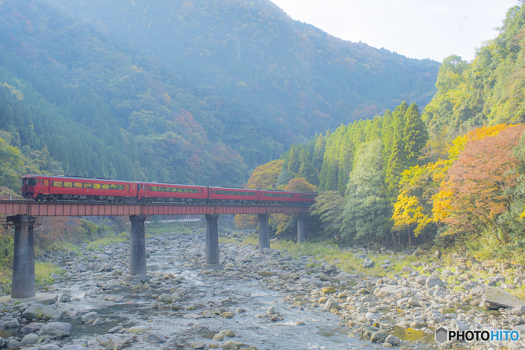2025年 紅葉の九大線 2